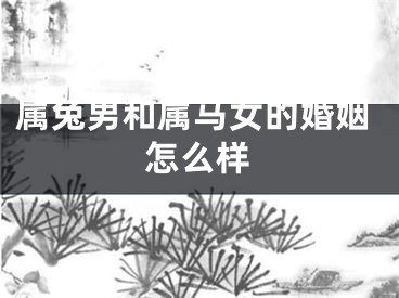 属兔男和属马女的婚姻怎么样