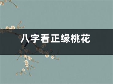 八字看正缘桃花