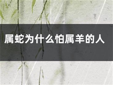 属蛇为什么怕属羊的人