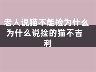 老人说猫不能捡为什么 为什么说捡的猫不吉利