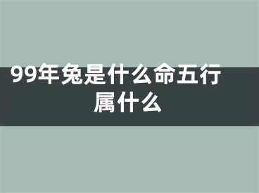 99年兔是什么命五行属什么