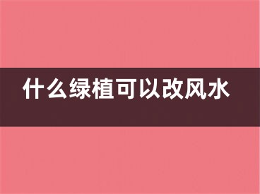 什么绿植可以改风水