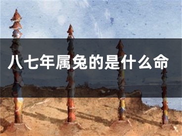 八七年属兔的是什么命