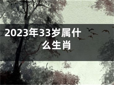 2023年33岁属什么生肖