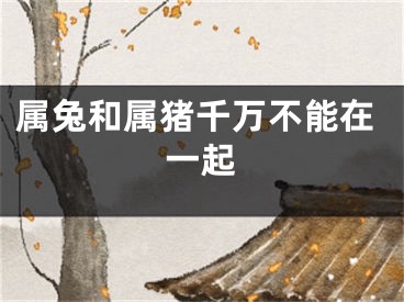 属兔和属猪千万不能在一起