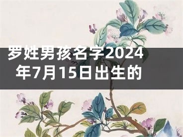 罗姓男孩名字2024年7月15日出生的