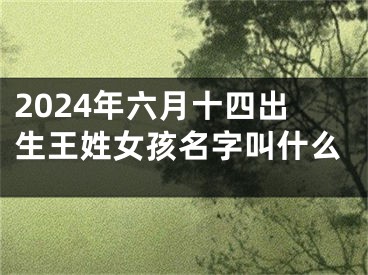 2024年六月十四出生王姓女孩名字叫什么