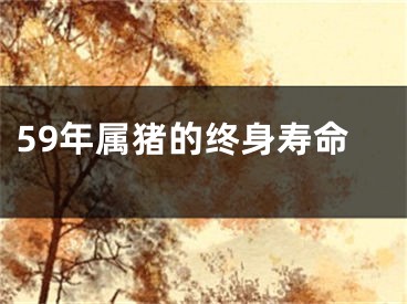 59年属猪的终身寿命