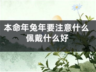 本命年兔年要注意什么佩戴什么好