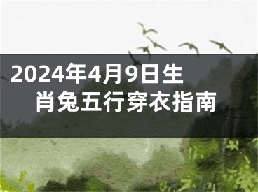2024年4月9日生肖兔五行穿衣指南