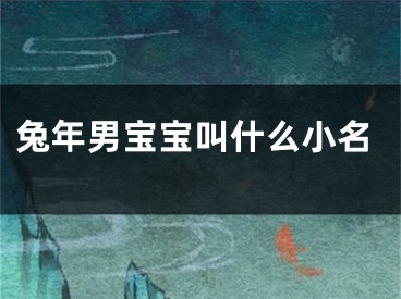 兔年男宝宝叫什么小名