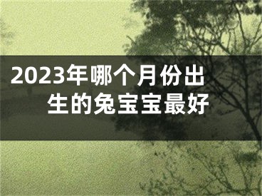 2023年哪个月份出生的兔宝宝最好