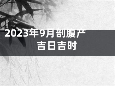 2023年9月剖腹产吉日吉时