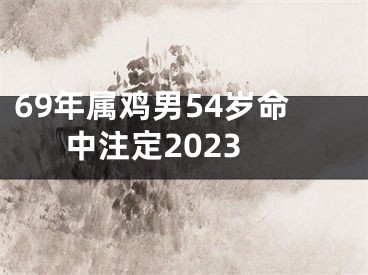 69年属鸡男54岁命中注定2023