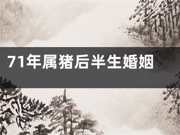 71年属猪后半生婚姻