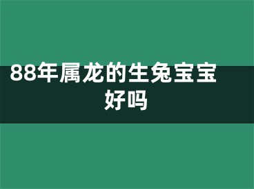 88年属龙的生兔宝宝好吗