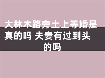 大林木路旁土上等婚是真的吗 夫妻有过到头的吗