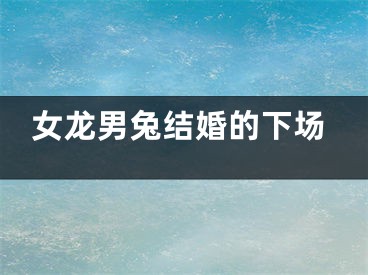 女龙男兔结婚的下场