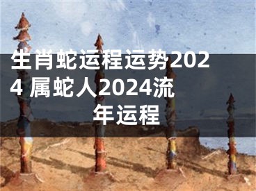 生肖蛇运程运势2024 属蛇人2024流年运程