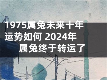 1975属兔未来十年运势如何 2024年属兔终于转运了