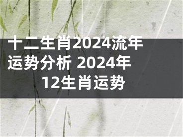 十二生肖2024流年运势分析 2024年12生肖运势