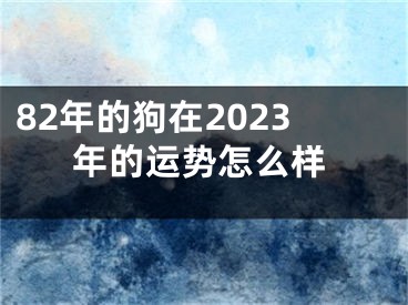 82年的狗在2023年的运势怎么样