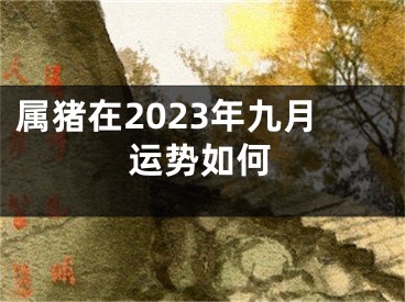 属猪在2023年九月运势如何