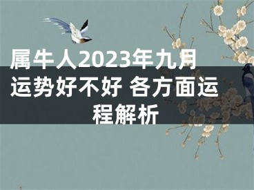 属牛人2023年九月运势好不好 各方面运程解析