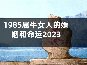 1985属牛女人的婚姻和命运2023