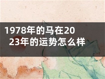 1978年的马在2023年的运势怎么样