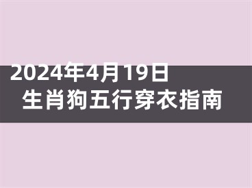 2024年4月19日生肖狗五行穿衣指南