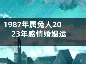 1987年属兔人2023年感情婚姻运