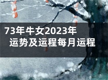 73年牛女2023年运势及运程每月运程