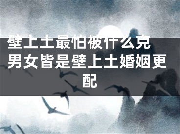 壁上土最怕被什么克 男女皆是壁上土婚姻更配
