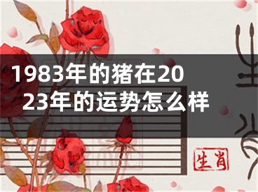1983年的猪在2023年的运势怎么样