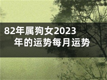 82年属狗女2023年的运势每月运势
