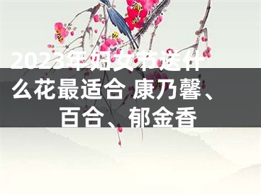 2023年妇女节送什么花最适合 康乃馨、百合、郁金香