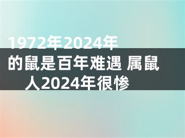 1972年2024年的鼠是百年难遇 属鼠人2024年很惨