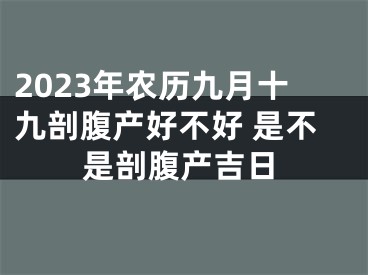 2023年农历九月十九剖腹产好不好 是不是剖腹产吉日