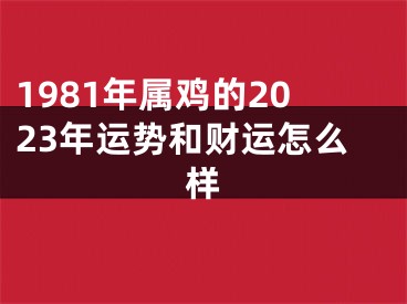 1981年属鸡的2023年运势和财运怎么样