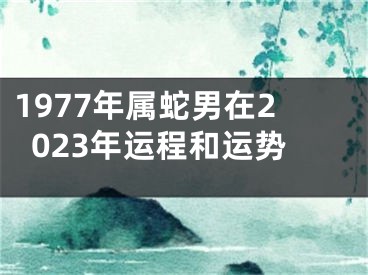 1977年属蛇男在2023年运程和运势