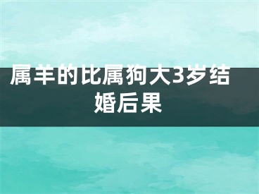 属羊的比属狗大3岁结婚后果