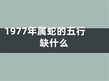 1977年属蛇的五行缺什么