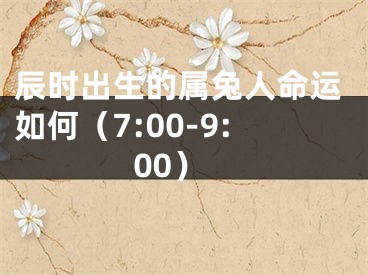 辰时出生的属兔人命运如何（7:00-9:00）