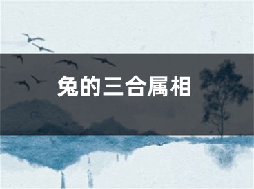 兔的三合属相