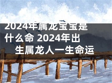 2024年属龙宝宝是什么命 2024年出生属龙人一生命运