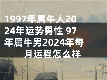 1997年属牛人2024年运势男性 97年属牛男2024年每月运程怎么样