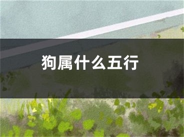 狗属什么五行