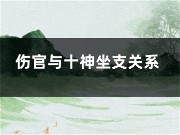 伤官与十神坐支关系