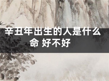 辛丑年出生的人是什么命 好不好